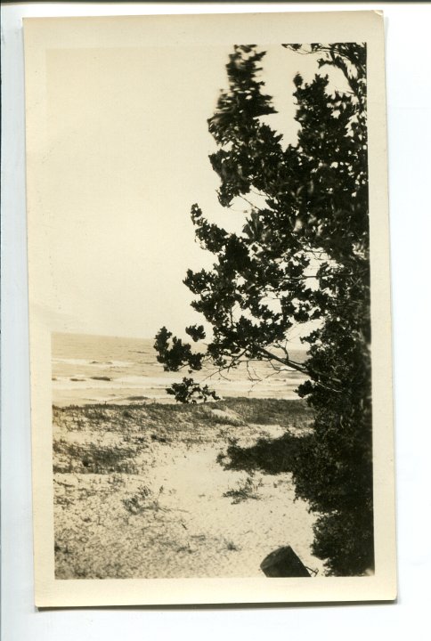 Beach,DuneLakethroughtheTrees