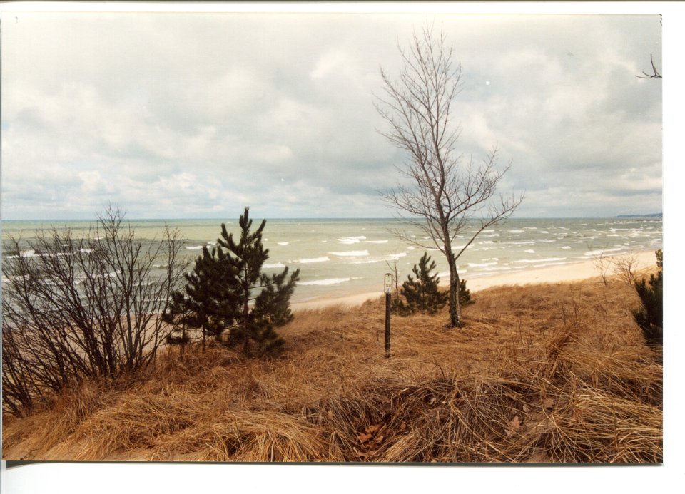 BeachLookingNorth