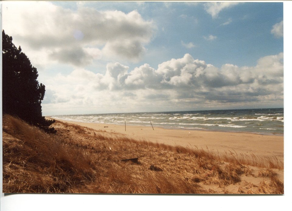 BeachLookingSouthfromWestWoodsbeach