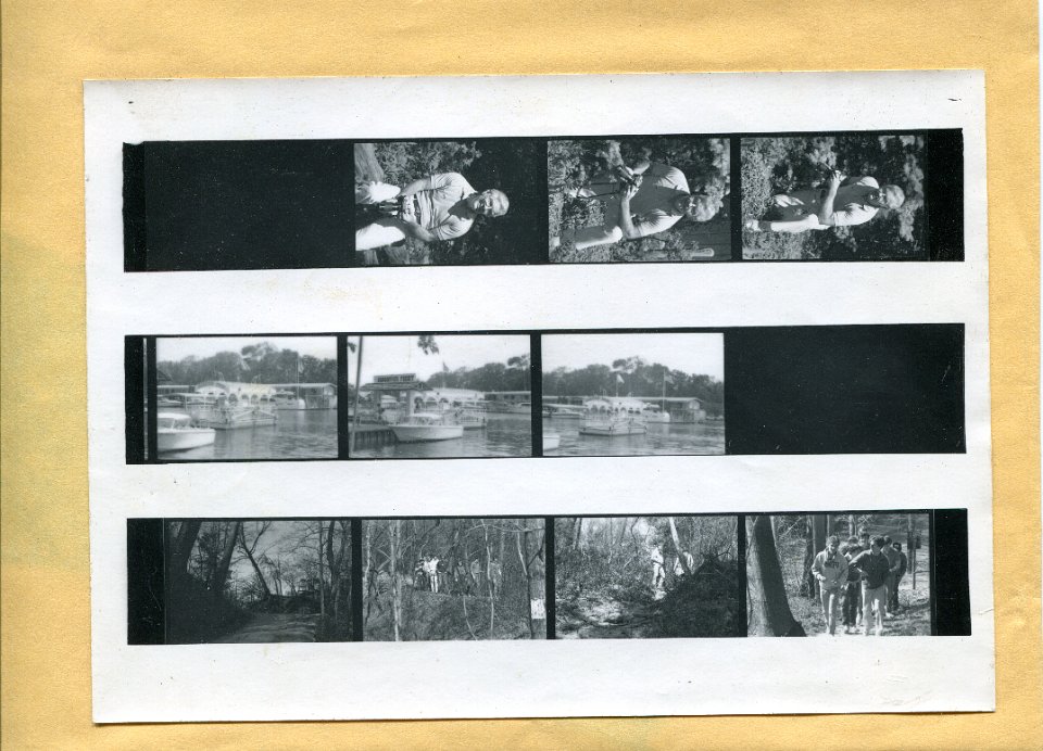 Negatives-2