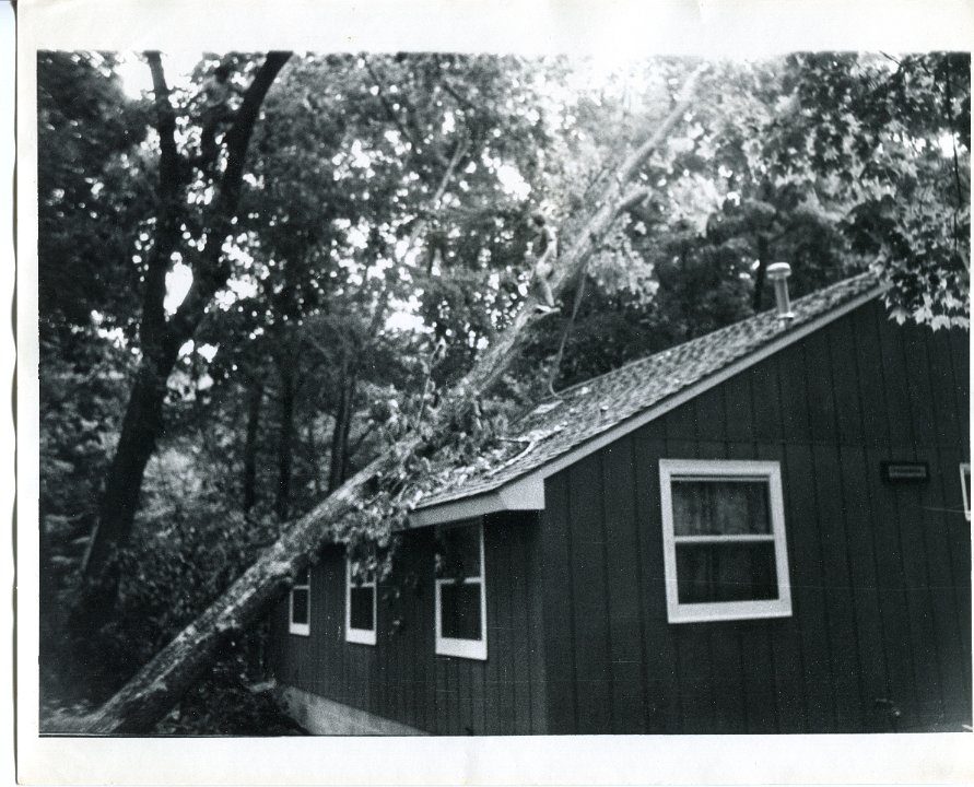 PonderosaWindStormDamage1973