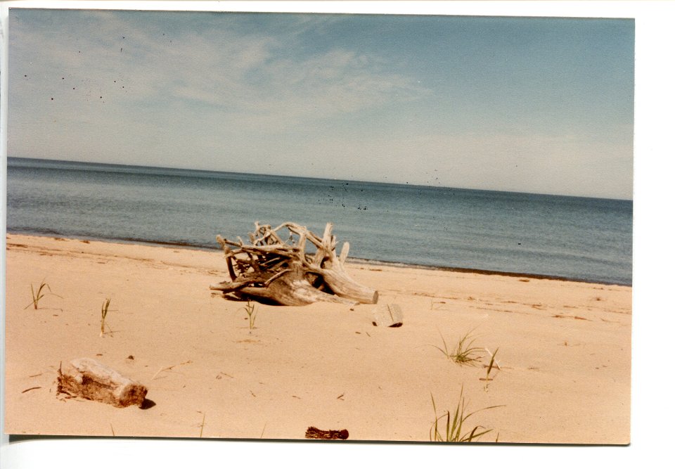 5.27.1984-6Driftwood