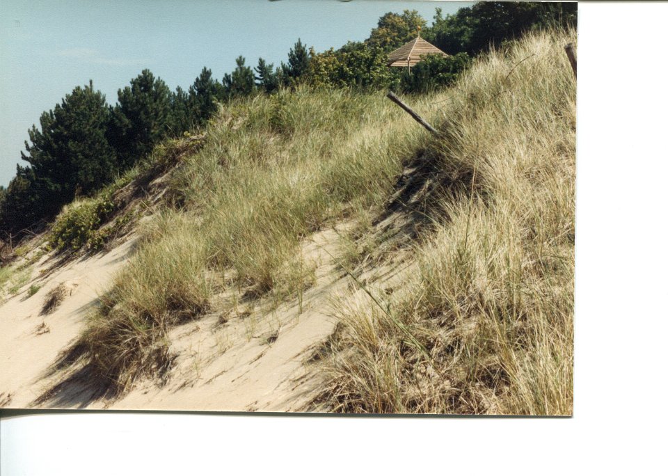 BeachErosion1987-2BelowGazebo