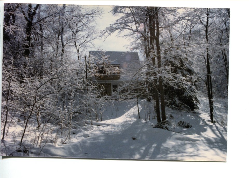 GlenCabininWinterWonder1986