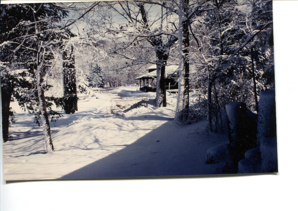 SnowonWestWoodsPath1986