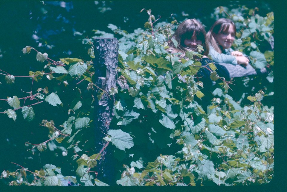 Dishwasherinthevines1967