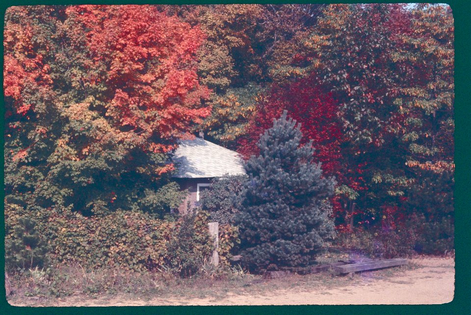 FallColors1976Mayflower