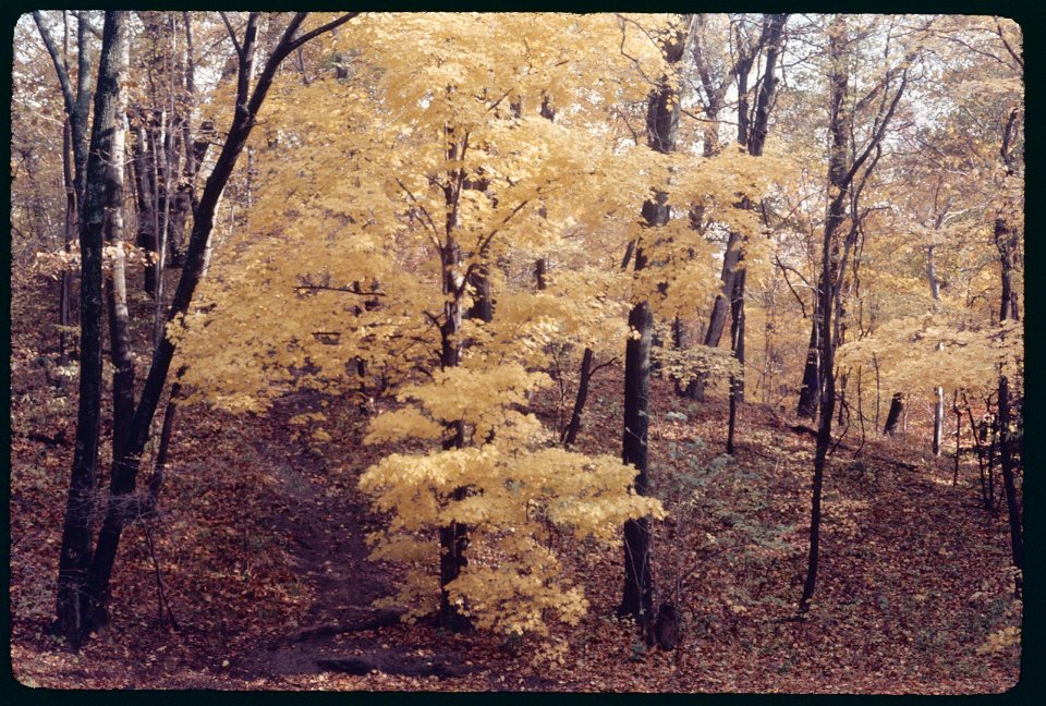 InGatefallcolors1976