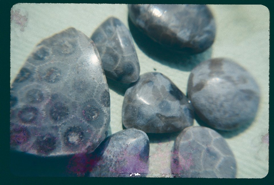 PetoskyStones1967